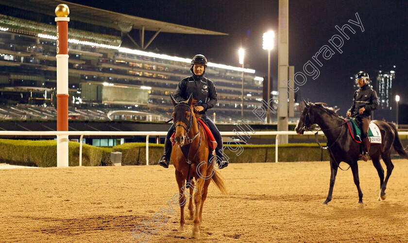 Geoglyph-0001 
 GEOGLYPH training for the Dubai World Cup
Meydan, Dubai, 23 Mar 2023 - Pic Steven Cargill / Racingfotos.com