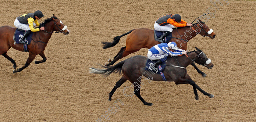 Notre-Belle-Bete-0007 
 NOTRE BELLE BETE (nearside, David Probert) beats BALDOMERO (farside) in The Mansionbet Lincoln Trial Handicap
Wolverhampton 12 Mar 2022 - Pic Steven Cargill / Racingfotos.com