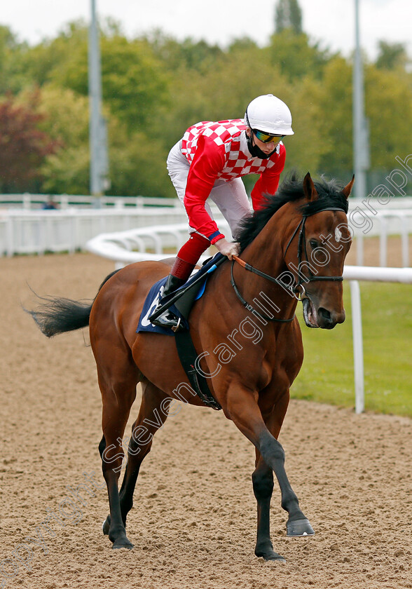 Dinoo-0002 
 DINOO (David Egan)
Wolverhampton 24 May 2021 - Pic Steven Cargill / Racingfotos.com