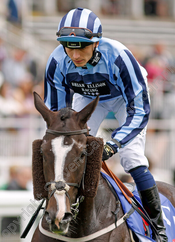 Onesmoothoperator 
 ONESMOOTHOPERATOR (Ben Robinson)
York 11 Jun 2022 - Pic Steven Cargill / Racingfotos.com