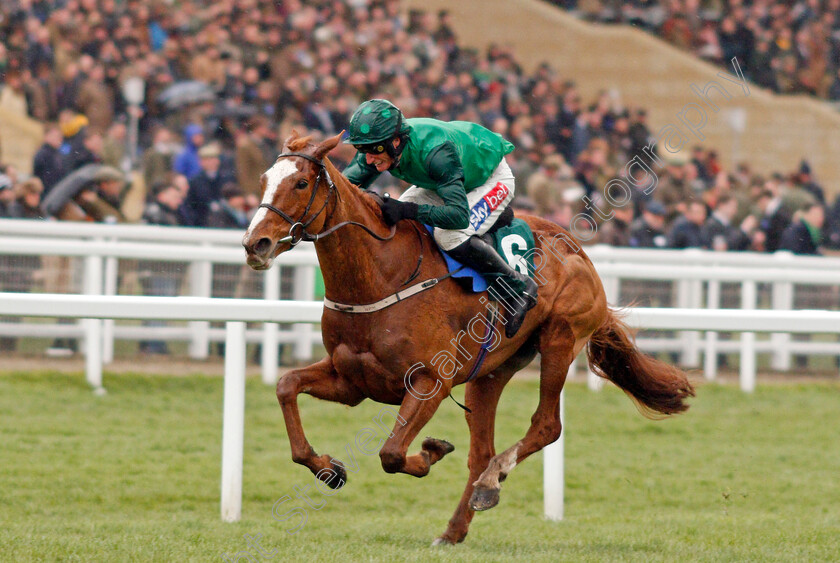 Concertista-0003 
 CONCERTISTA (Daryl Jacob) wins The Daylesford Mares Novices Hurdle
Cheltenham 12 Mar 2020 - Pic Steven Cargill / Racingfotos.com