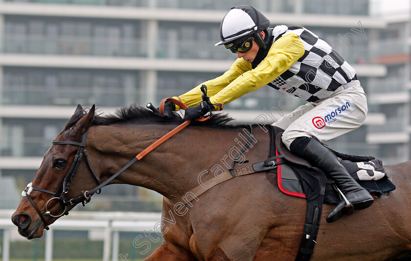 Next-Destination-0007 
 NEXT DESTINATION (Harry Cobden) wins The Ladbrokes John Francome Novices Chase
Newbury 28 Nov 2020 - Pic Steven Cargill / Racingfotos.com