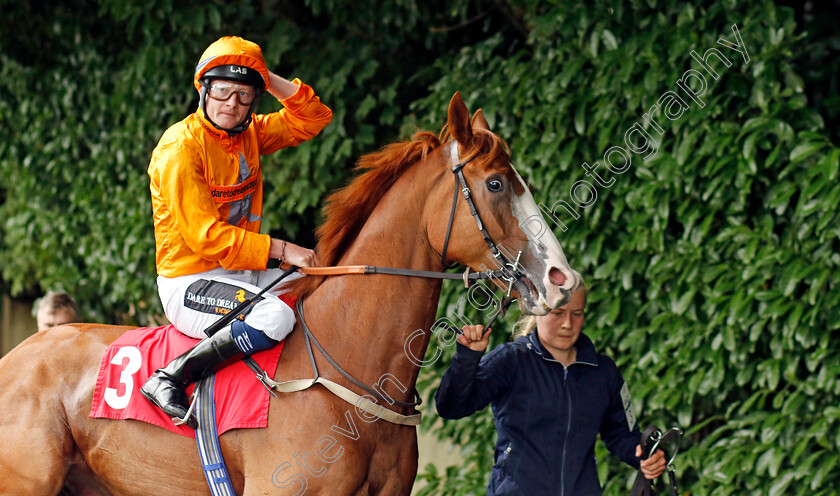 Cabeza-De-Llave-0001 
 CABEZA DE LLAVE (William Carson)
Sandown 27 Jul 2023 - Pic Steven Cargill / Racingfotos.com