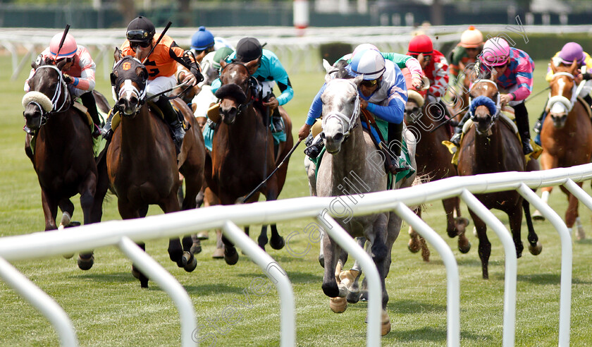 Stonefactor-0002 
 STONEFACTOR (Kendrick Carmouche) wins The Maiden Special Weight
Belmont Park 8 Jun 2018 - Pic Steven Cargill / Racingfotos.com