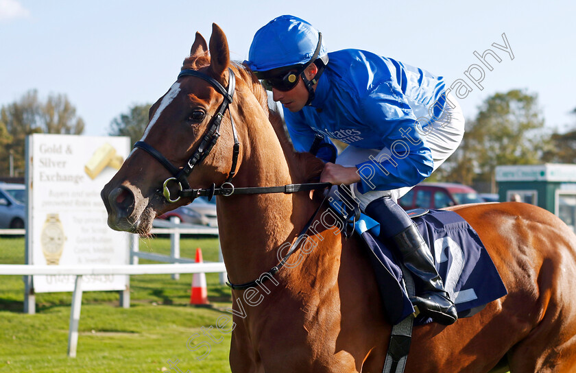 Blazing-Spirit-0001 
 BLAZING SPIRIT (William Buick)
Yarmouth 22 Oct 2024 - Pic Steven Cargill / Racingfotos.com