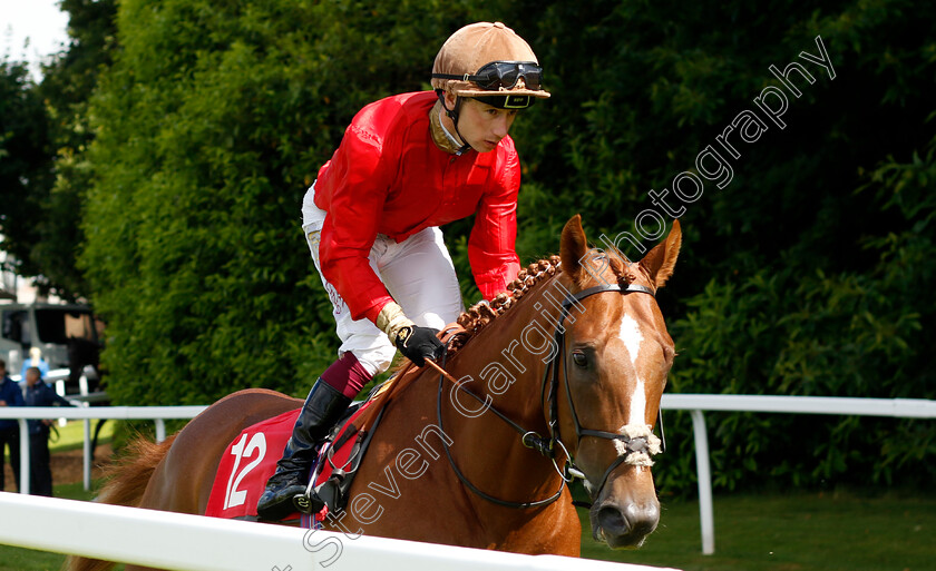 Royal-Approval-0001 
 ROYAL APPROVAL (Oisin Murphy)
Sandown 15 Jun 2024 - Pic Steven Cargill / Racingfotos.com