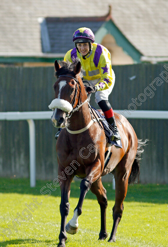 United-Front-0001 
 UNITED FRONT (Josephine Gordon)
Yarmouth 15 Sep 2021 - Pic Steven Cargill / Racingfotos.com