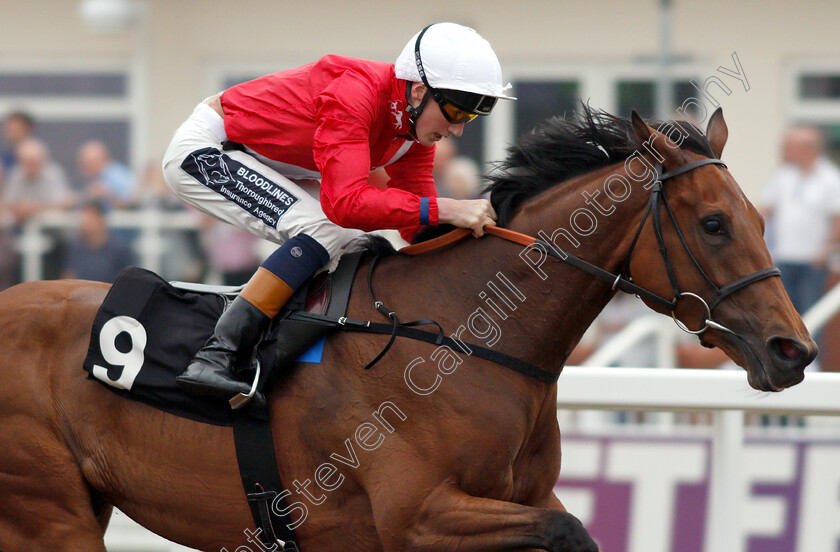 Pilaster-0006 
 PILASTER (David Egan) wins The Bet In Play At totesport.com British EBF Confined Fillies Novice Stakes
Chelmsford 31 May 2018 - Pic Steven Cargill / Racingfotos.com