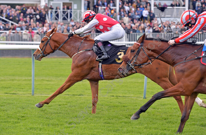 Umming-N -Ahing-0002 
 UMMING N' AHING (Rose Dawes) wins The Castle Rock Neil Kelso Memorial Handicap
Nottingham 22 Apr 2023 - pic Steven Cargill / Becky Bailey / Racingfotos.com