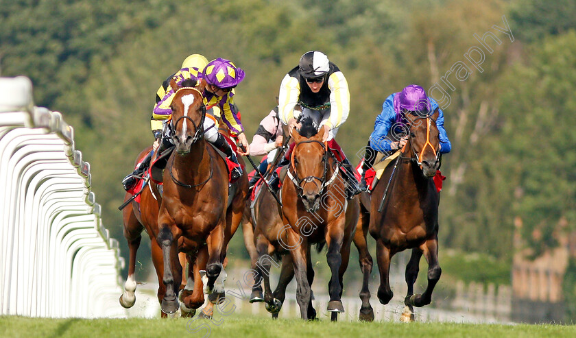 Skyman-0004 
 SKYMAN (left, Jason Watson) beats DARGEL (centre) in The Betway Live Casino Handicap
Sandown 30 Aug 2019 - Pic Steven Cargill / Racingfotos.com