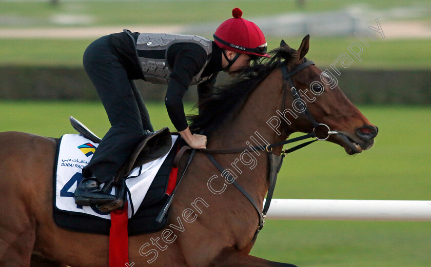 Epic-Poet-0001 
 EPIC POET training at the Dubai Racing Carnival 
Meydan 2 Jan 2025 - Pic Steven Cargill / Racingfotos.com