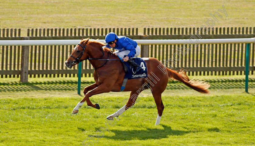 Modern-Games-0010 
 MODERN GAMES (William Buick) wins The Tattersalls Stakes
Newmarket 23 Sep 2021 - Pic Steven Cargill / Racingfotos.com