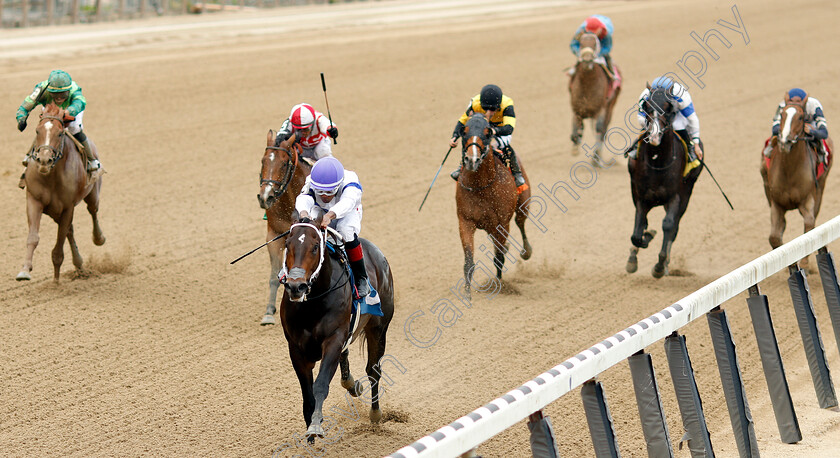 Double-Orb-0001 
 DOUBLE ORB (Ricardo Santana) wins Maiden
Belmont Park USA 7 Jun 2019 - Pic Steven Cargill / Racingfotos.com