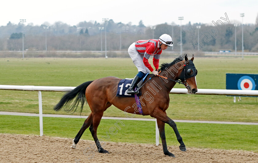 Holy-Fire-0001 
 HOLY FIRE (Callum Shepherd)
Wolverhampton 9 Mar 2024 - Pic Steven Cargill / Racingfotos.com