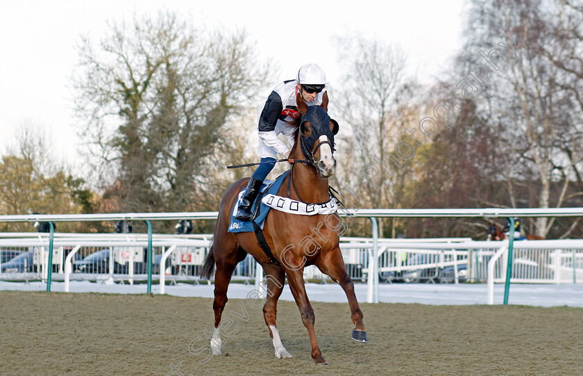 Marion s-Boy-0001 
 MARION'S BOY (David Probert)
Lingfield 21 Jan 2023 - Pic Steven Cargill / Racingfotos.com