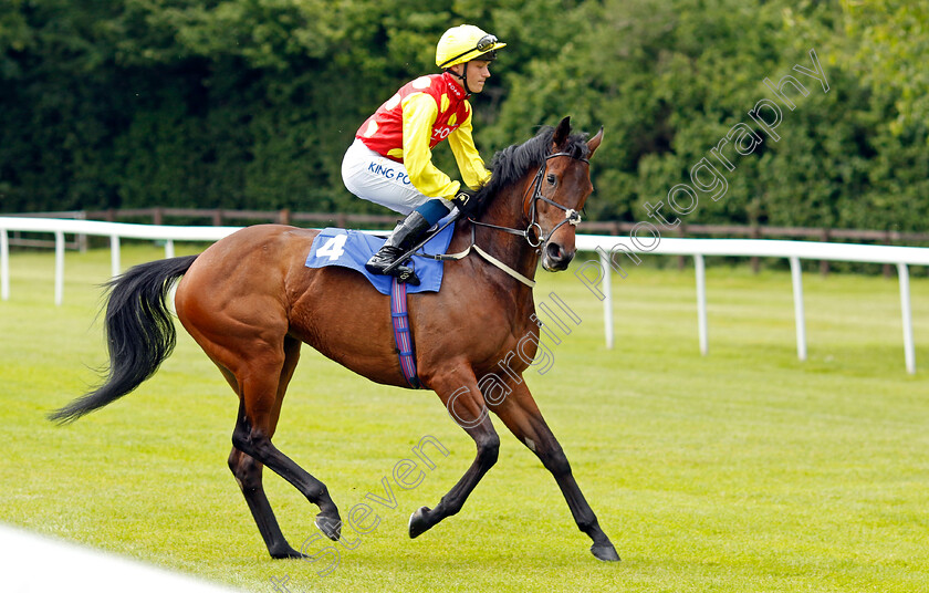 Powerdress-0001 
 POWERDRESS (William Carver)
Salisbury 16 Jun 2024 - Pic Steven Cargill / Racingfotos.com