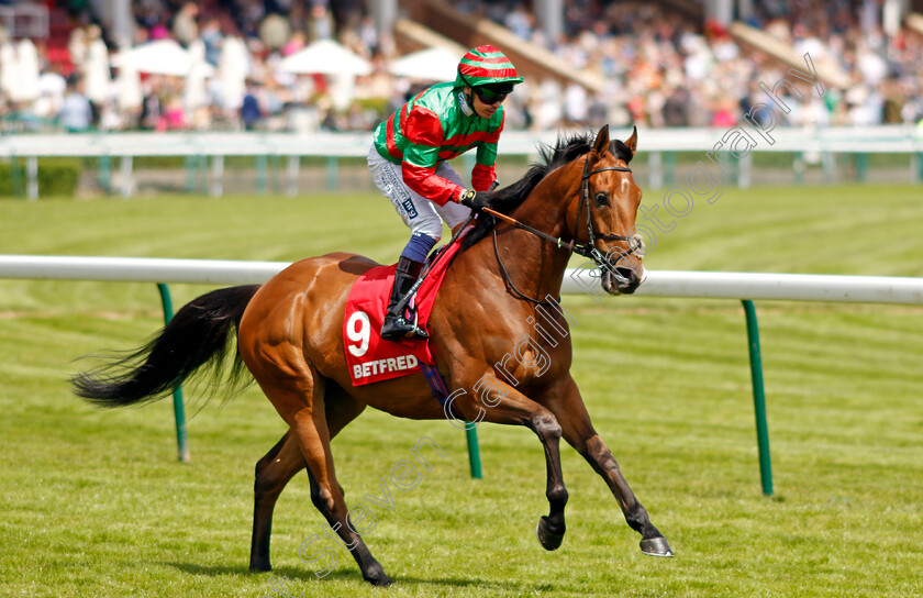 Melek-Alreeh-0001 
 MELEK ALREEH (Andrew Mullen)
Haydock 8 Jun 2024 - Pic Steven Cargill / Racingfotos.com