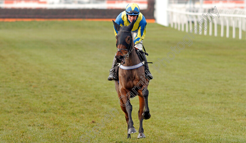 Nikap-0001 
 NIKAP (David Noonan)
Newbury 30 Nov 2019 - Pic Steven Cargill / Racingfotos.com