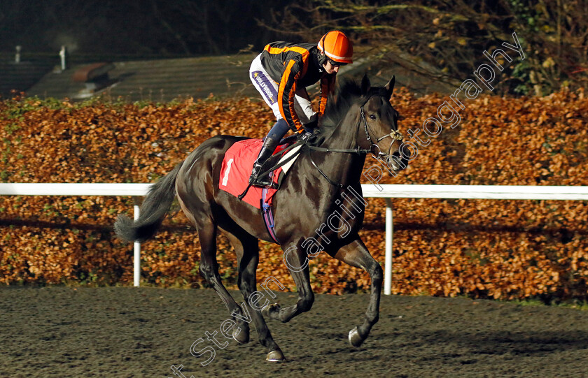 Asimov-0002 
 ASIMOV (Daniel Muscutt)
Kempton 6 Dec 2023 - Pic Steven Cargill / Racingfotos.com