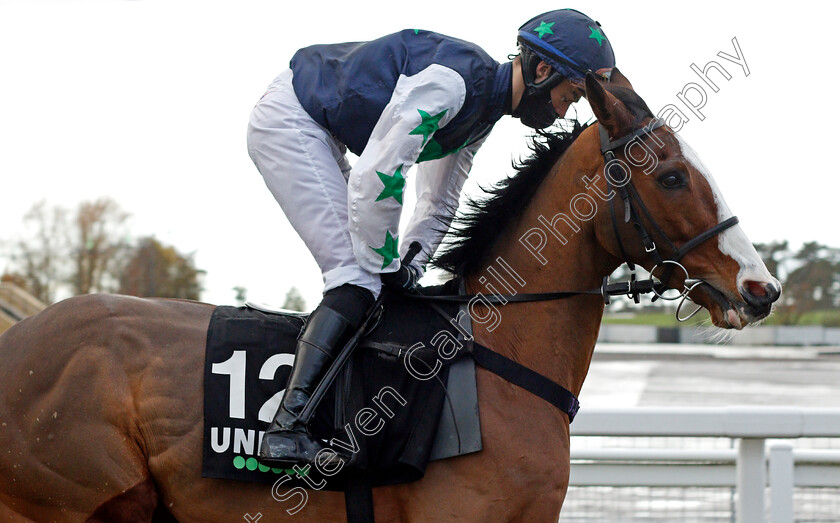 Tegerek-0001 
 TEGEREK (Kevin Brogan)
Cheltenham 15 Nov 2020 - Pic Steven Cargill / Racingfotos.com