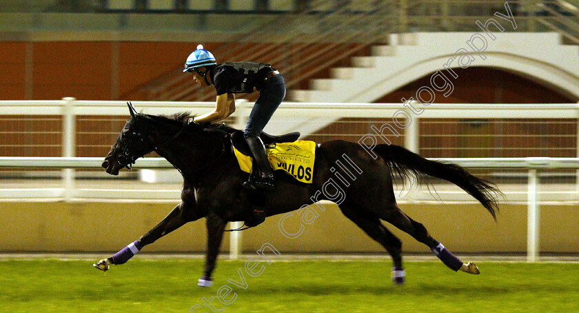 Vivlos-0001 
 VIVLOS training for the Dubai Turf
Meydan 27 Mar 2019 - Pic Steven Cargill / Racingfotos.com