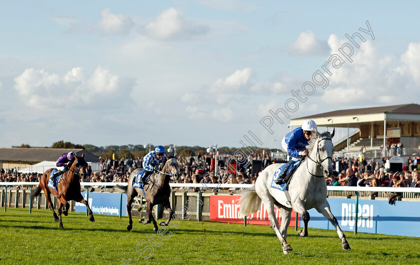 Highland-Avenue-0006 
 HIGHLAND AVENUE (William Buick) wins The Darley Stakes
Newmarket 14 Oct 2023 - Pic Steven Cargill / Racingfotos.com