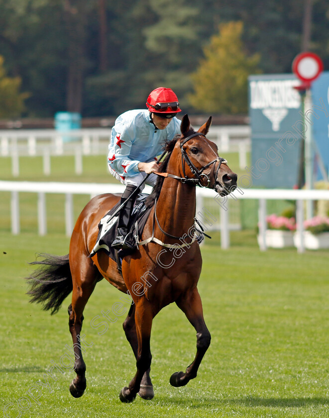 Our-Papa-Smurf-0001 
 OUR PAPA SMURF (Rhys Clutterbuck)
Ascot 8 Sep 2023 - Pic Steven Cargill / Racingfotos.com