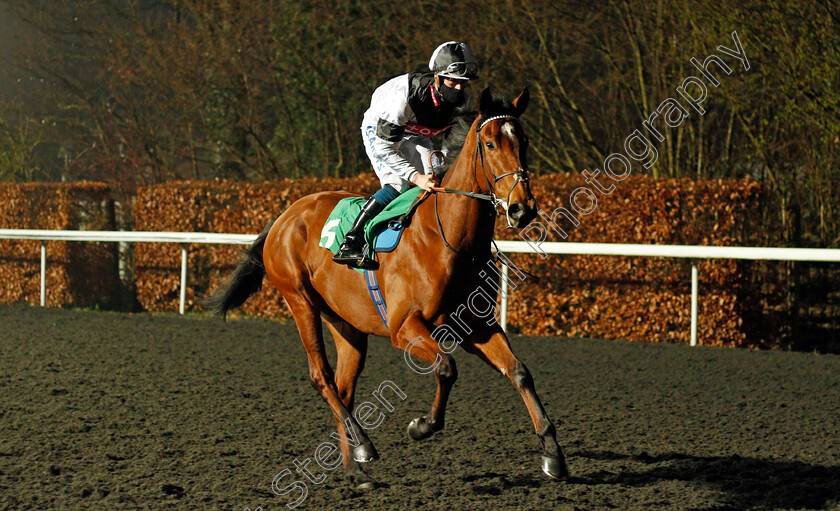 Rebel-Territory-0001 
 REBEL TERRITORY (Joey Haynes)
Kempton 3 Mar 2021 - Pic Steven Cargill / Racingfotos.com