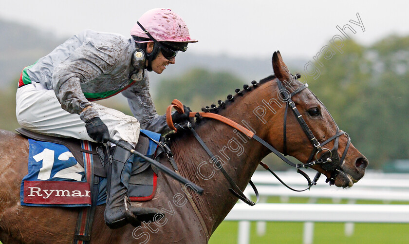 Petite-Power-0005 
 PETITE POWER (Liam Harrison) wins The Ryman Stationery Cheltenham Business Club Amateur Riders Handicap Chase
Cheltenham 25 Oct 2019 - Pic Steven Cargill / Racingfotos.com