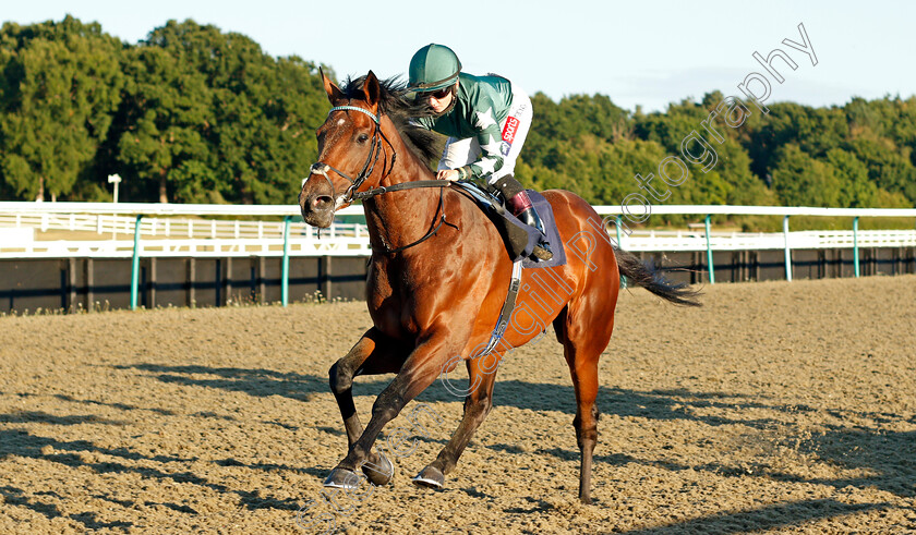 Faisal-0005 
 FAISAL (Hollie Doyle) wins The Betway Maiden Stakes Div2
Lingfield 4 Aug 2020 - Pic Steven Cargill / Racingfotos.com