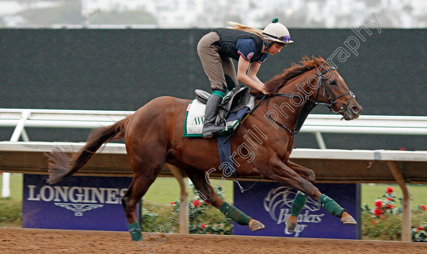 Corinthia-Knight-0001 
 CORINTHIA KNIGHT training for The Breeders' Cup at Del Mar USA 31 Oct 2017 - Pic Steven Cargill / Racingfotos.com