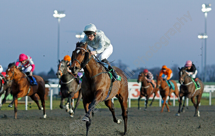 King-Of-Arms-0004 
 KING OF ARMS (Robert Havlin) wins The 32Red On The App Store Maiden Stakes Div1
Kempton 29 Jan 2020 - Pic Steven Cargill / Racingfotos.com