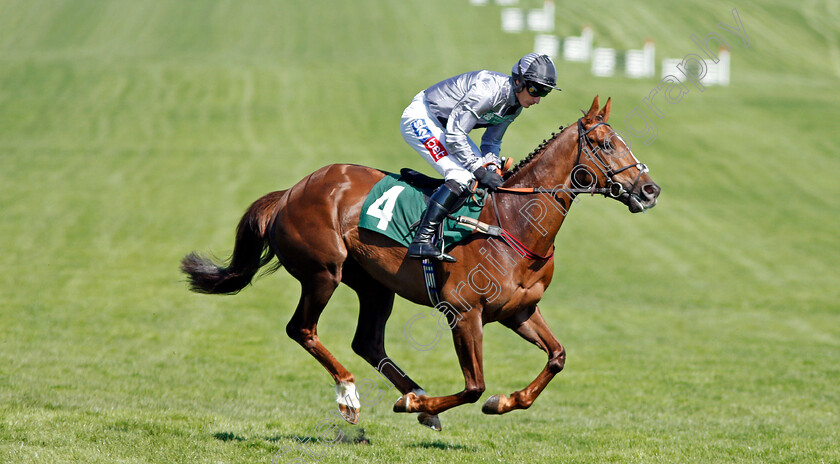 Banjo-Girl-0001 
 BANJO GIRL (Daryl Jacob) Cheltenham 19 Apr 2018 - Pic Steven Cargill / Racingfotos.com