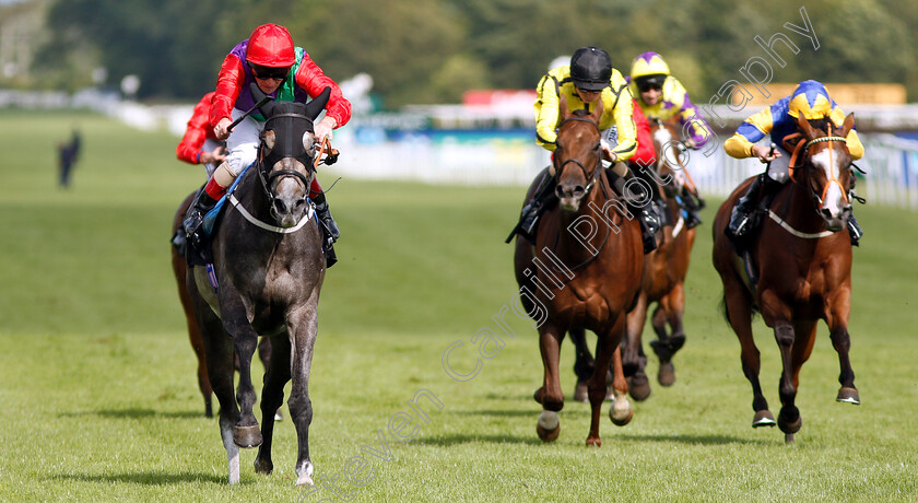 Sufficient-0002 
 SUFFICIENT (Jimmy Quinn) wins The British EBF Premier Fillies Handicap
Newbury 20 Jul 2019 - Pic Steven Cargill / Racingfotos.com