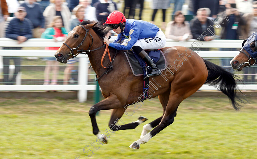 Camachess-0002 
 CAMACHESS (Phil Dennis) wins The Thanks Jan Leeder And Best Wishes Handicap
Yarmouth 23 Apr 2019 - Pic Steven Cargill / Racingfotos.com