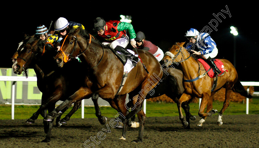 Chloellie-0002 
 CHLOELLIE (David Probert) wins The Join Racing TV Now Fillies Handicap
Kempton 16 Jan 2019 - Pic Steven Cargill / Racingfotos.com