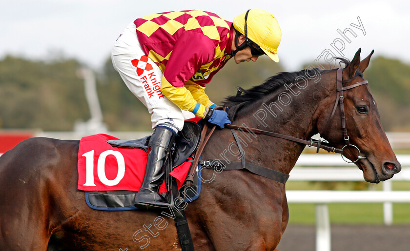 Siruh-Du-Lac-0001 
 SIRUH DU LAC (Tom Scudamore) Kempton 22 Oct 2017 - Pic Steven Cargill / Racingfotos.com