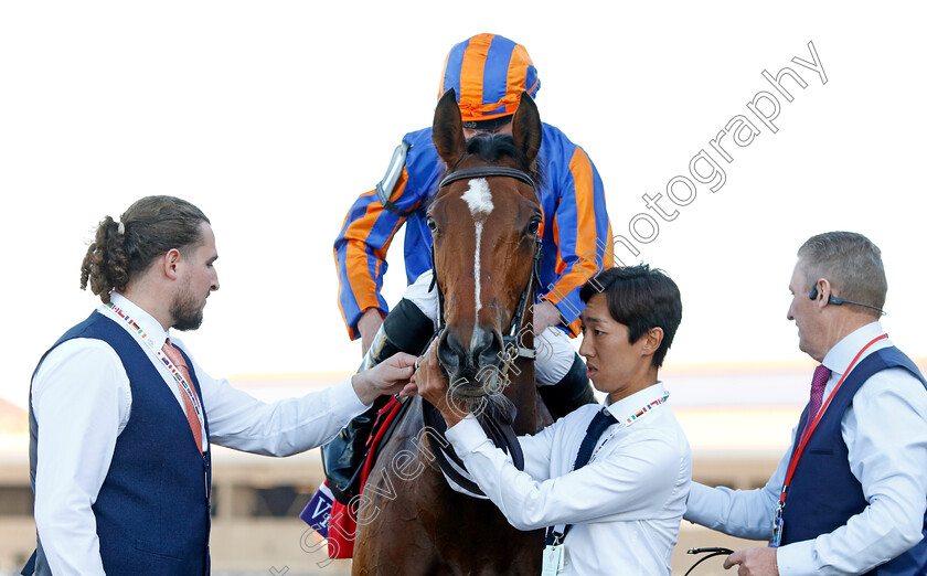 Lake-Victoria-0010 
 LAKE VICTORIA winner of the Breeders' Cup Juvenile Fillies Turf
Del Mar USA 1 Nov 2024 - Pic Steven Cargill / Racingfotos.com