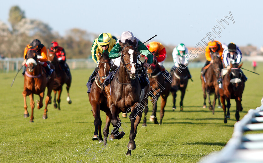 Mystic-Meg-0002 
 MYSTIC MEG (Jack Mitchell) wins The RCA Flat Racecourse Groundstaff Award Winners Handicap
Yarmouth 23 Oct 2018 - Pic Steven Cargill / Racingfotos.com