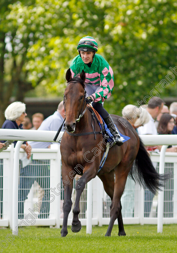 Iskaheen-0001 
 ISKAHEEN (Charles Bishop)
Salisbury 11 Aug 2021 - Pic Steven Cargill / Racingfotos.com