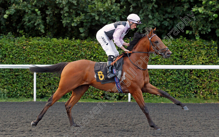 Dream-Show-0002 
 DREAM SHOW (Kieran Shoemark)
Kempton 3 Sep 2021 - Pic Steven Cargill / Racingfotos.com