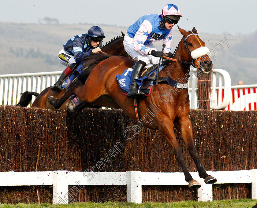 Rocky s-Treasure-0002 
 ROCKY'S TREASURE (David Bass)
Cheltenham 17 Apr 2019 - Pic Steven Cargill / Racingfotos.com