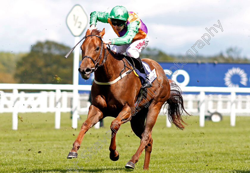 Vikivaki-0001 
 VIKIVAKI (Luke Morris) Ascot 2 May 2018 - Pic Steven Cargill / Racingfotos.com