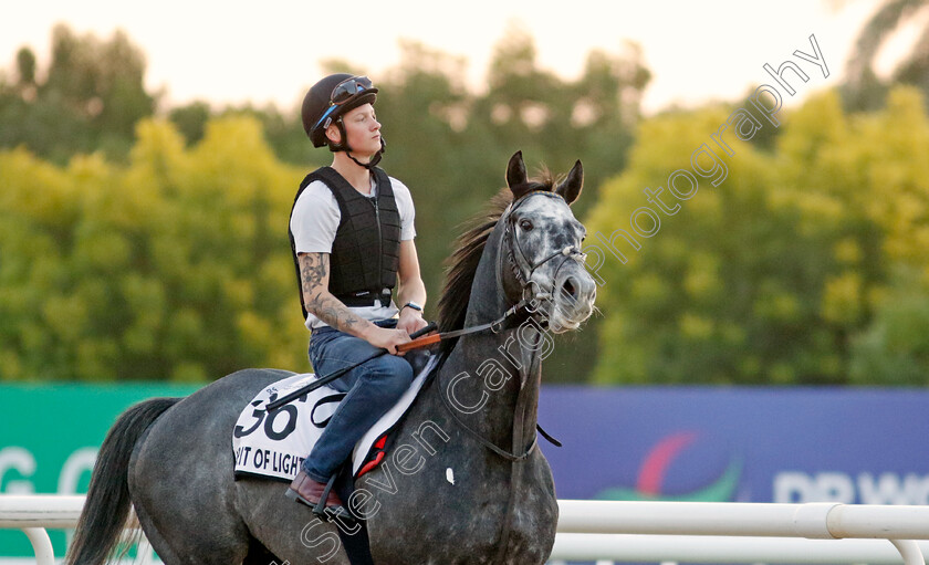 Spirit-Of-Light-0002 
 SPIRIT OF LIGHT training at the Dubai World Cup Carnival
Meydan 5 Jan 2023 - Pic Steven Cargill / Racingfotos.com