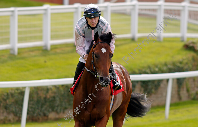 Box-To-Box-0002 
 BOX TO BOX (Richard Kingscote)
Sandown 2 Jul 2021 - Pic Steven Cargill / Racingfotos.com