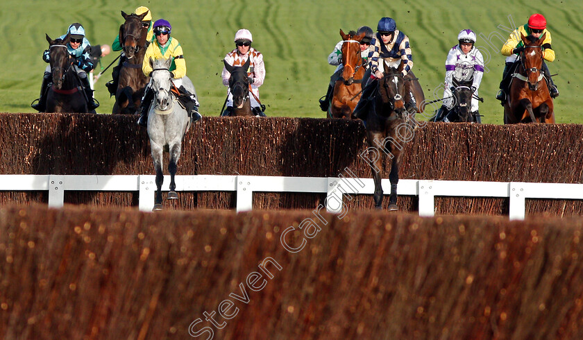 Mick-Thonic-0002 
 MICK THONIC (left) and FESTIVE AFFAIR (right) lead the field at Cheltenham 17 Nov 2017 - Pic Steven Cargill / Racingfotos.com