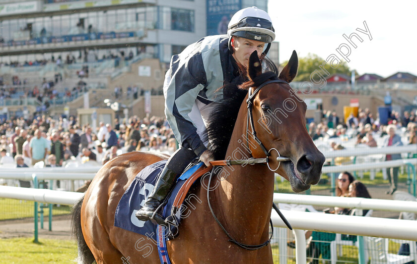 Coma-Cluster-0001 
 COMA CLUSTER (Richard Kingscote)
Doncaster 13 Sep 2024 - Pic Steven Cargill / Racingfotos.com