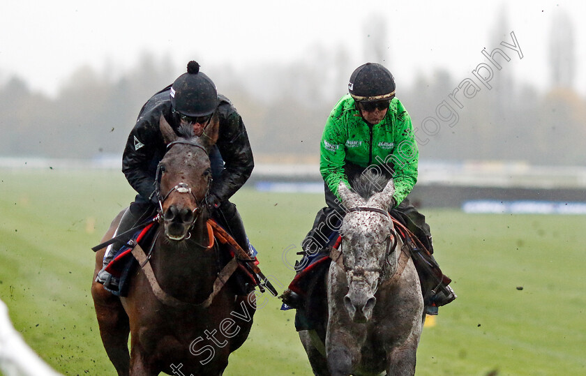 Kandoo-Kid-and-Inch-House-0002 
 KANDOO KID (right) and INCH HOUSE (left)
Coral Gold Cup gallops morning Newbury 19 Nov 20234 - Pic Steven Cargill / Racingfotos.com