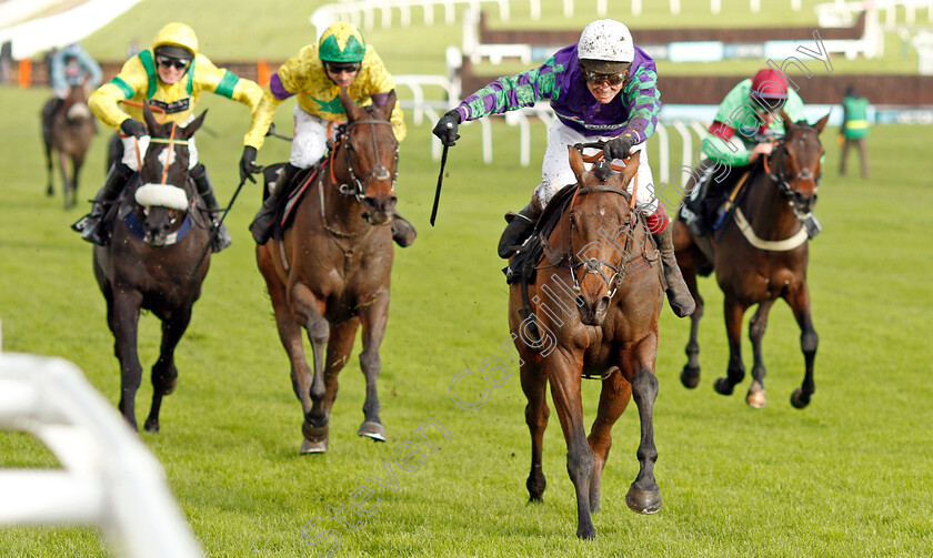 Thyme-Hill-0005 
 THYME HILL (Richard Johnson) wins The Ballymore Novices Hurdle
Cheltenham 16 Nov 2019 - Pic Steven Cargill / Racingfotos.com