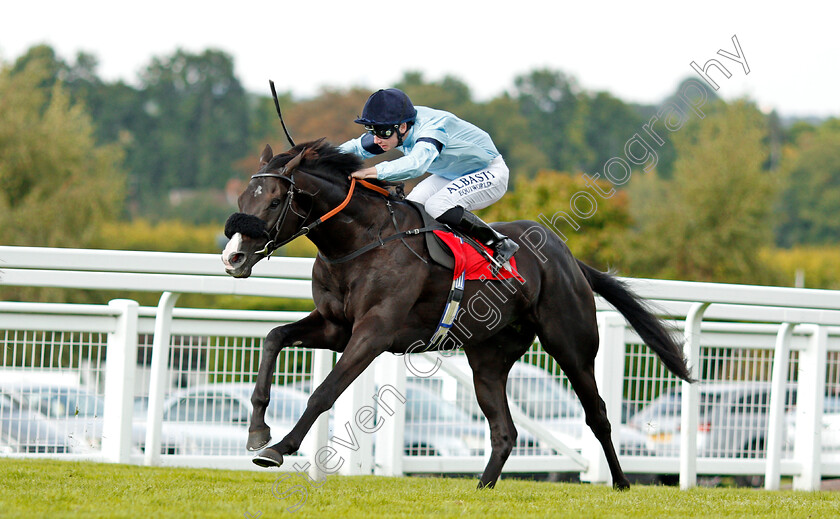 Archetype-0004 
 ARCHETYPE (Oisin Murphy) wins The All New Fiesta At Trust Ford Handicap Sandown 1 Sep 2017 - Pic Steven Cargill / Racingfotos.com